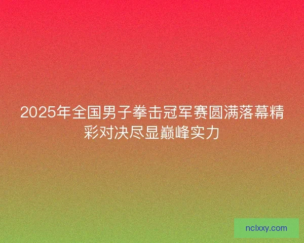 2025年全国男子拳击冠军赛圆满落幕精彩对决尽显巅峰实力