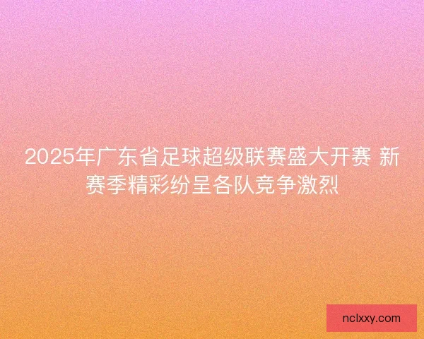 2025年广东省足球超级联赛盛大开赛 新赛季精彩纷呈各队竞争激烈