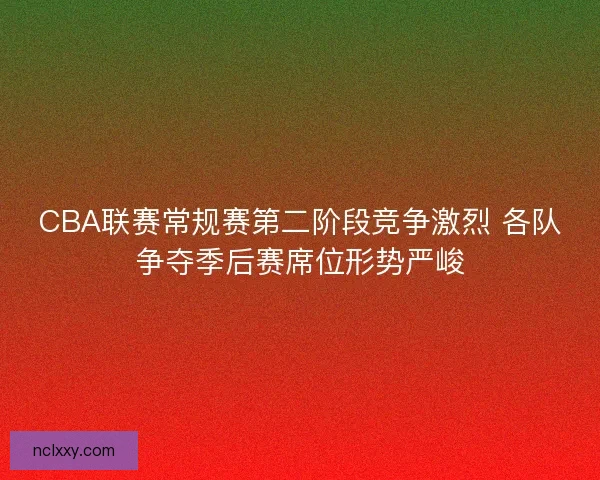 CBA联赛常规赛第二阶段竞争激烈 各队争夺季后赛席位形势严峻