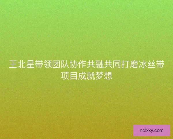 王北星带领团队协作共融共同打磨冰丝带项目成就梦想 王北星带领团队协作共融共同打磨冰丝带项目成就梦想